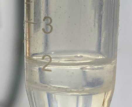 Chlorodifluoromethane