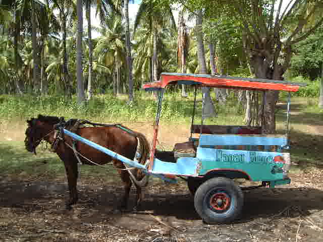 File:Cidomo in Gili Meno..jpg