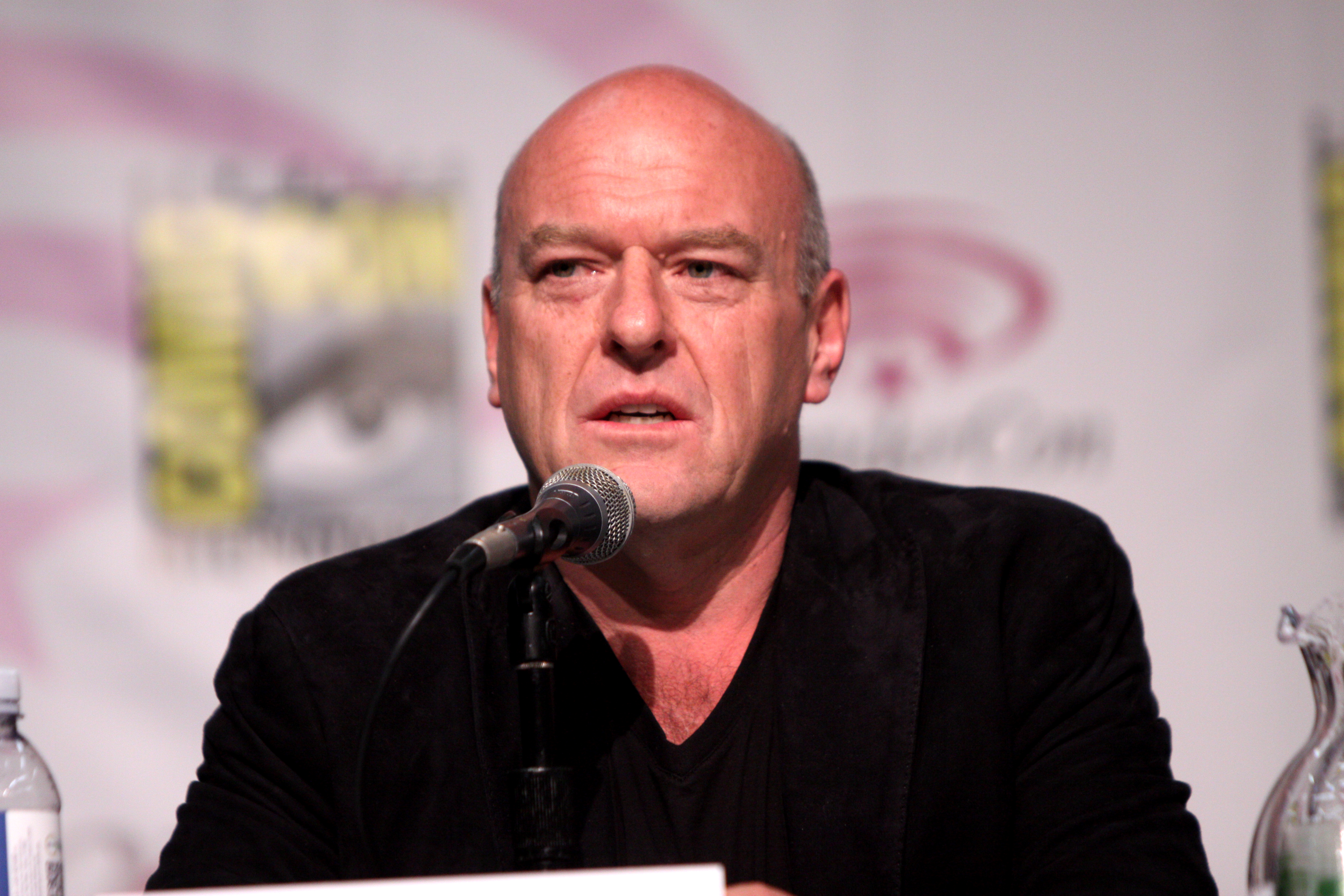 Dean Norris - Wikipedia