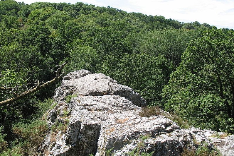 File:Dompierre-du-Chemin - Saut Roland 1.jpg