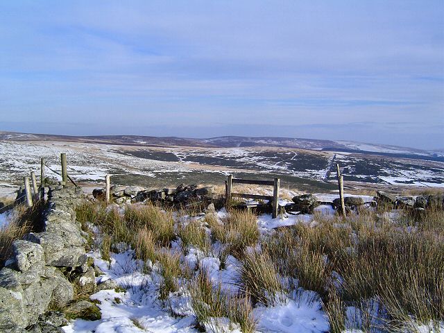 File:East Broad Down - Dartmoor - geograph.org.uk - 84387.jpg