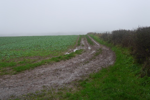 File:Field edge, New House - geograph.org.uk - 5007579.jpg