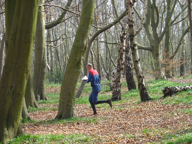 Fine Mature Woodland at Hopwas Hays Wood, near Tamworth. - geograph.org.uk - 24227
