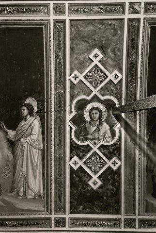 File:Giotto, motivo decorativo 15.jpg