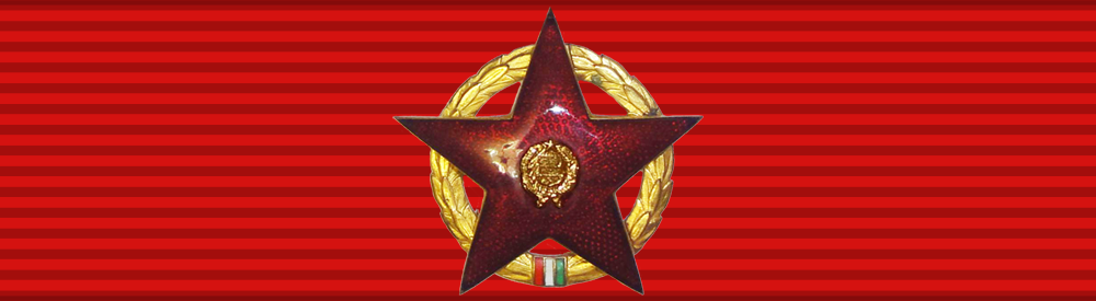 Кавалер орден Красной Звезды (ВНР)