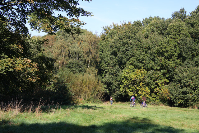 Hampstead Heath - geograph.org.uk - 1005708