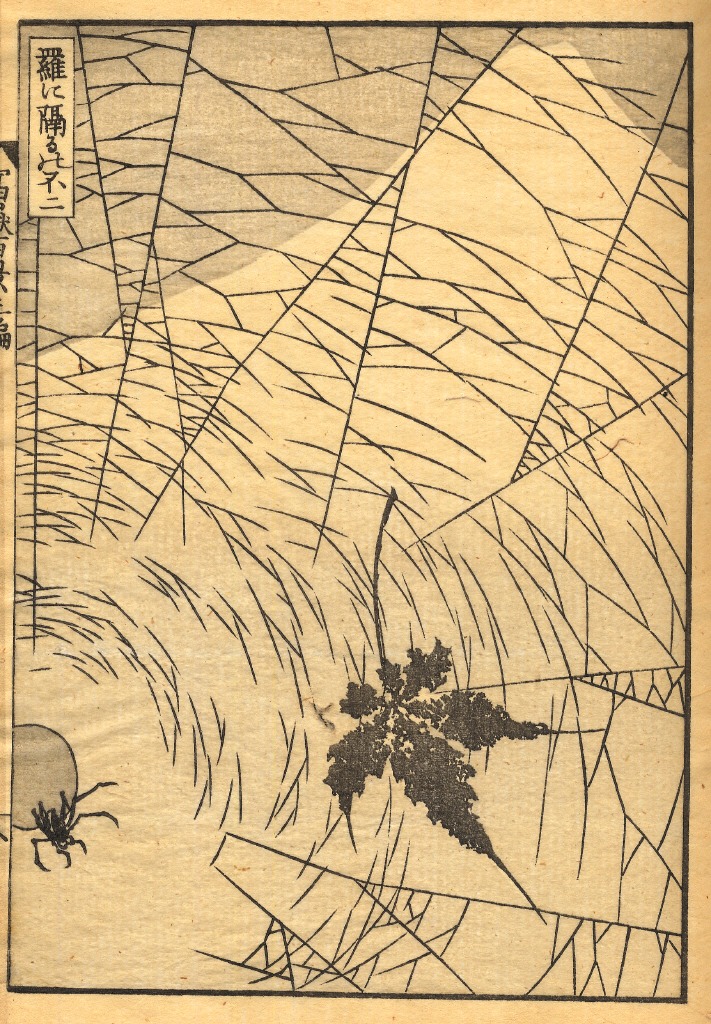 https://upload.wikimedia.org/wikipedia/commons/c/cb/Hokusai_Mt_Fuji_Behind_a_Spider_Net.jpg