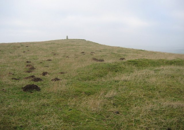 File:Knock Hill - geograph.org.uk - 116244.jpg