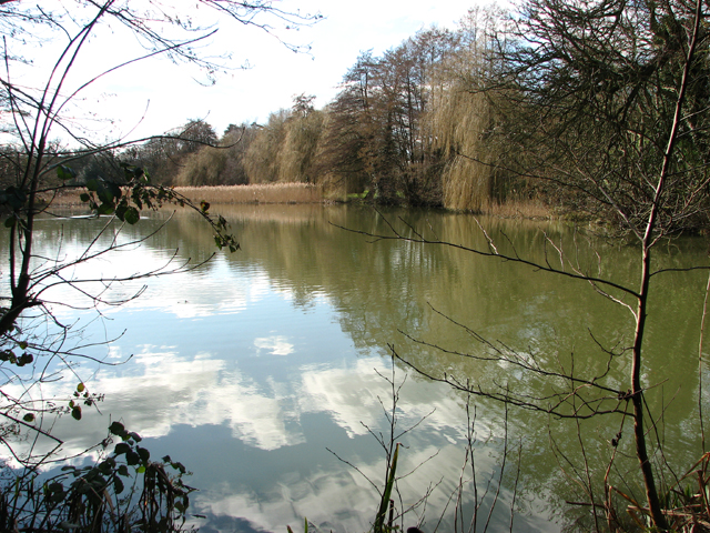 Lake south of Ketteringham Hall - geograph.org.uk - 4840768