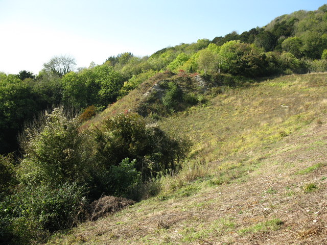 File:Lower slopes of the Betchworth Quarry - geograph.org.uk - 1526223.jpg