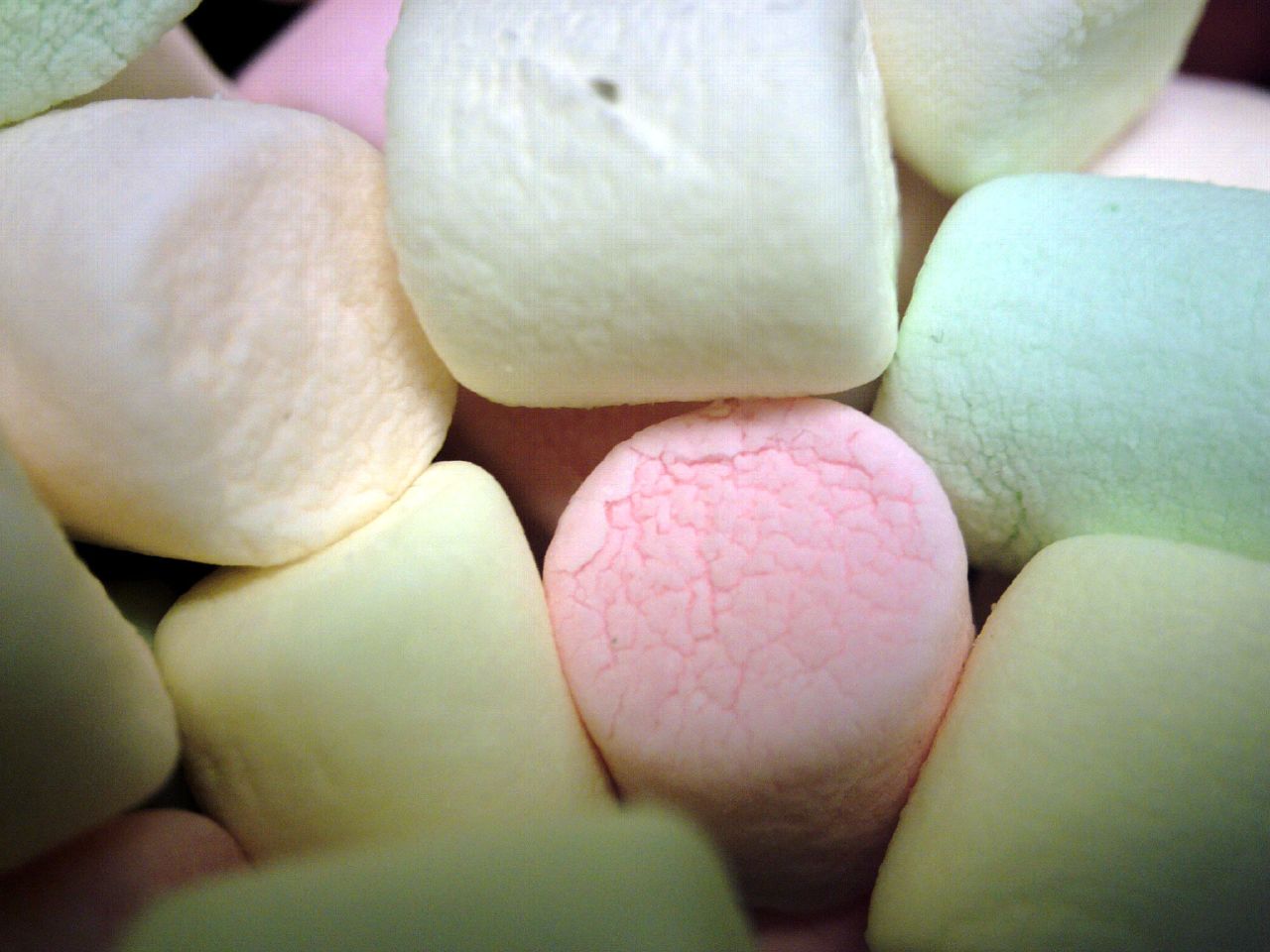 File Marshmallows 182648612 Jpg Wikimedia Commons