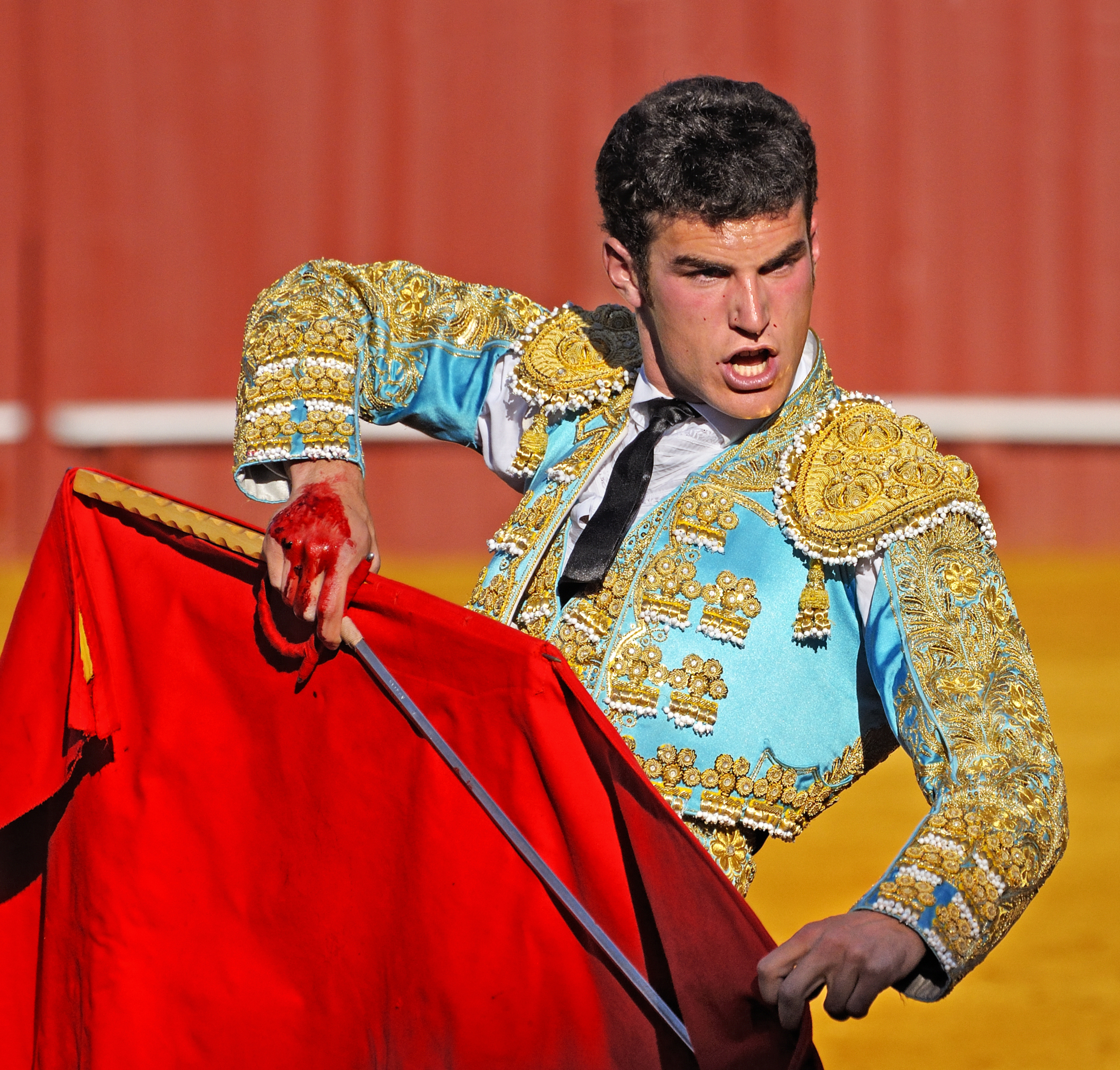 File:Matador in the Plaza de toros de la Real Maestranza de Caballería in  Seville.jpg - Wikimedia Commons