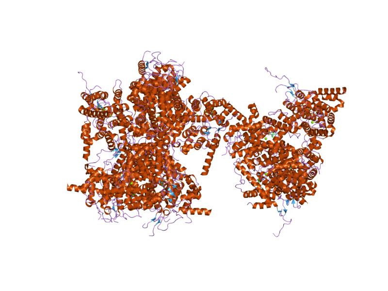 File:PDB 1soj EBI.jpg