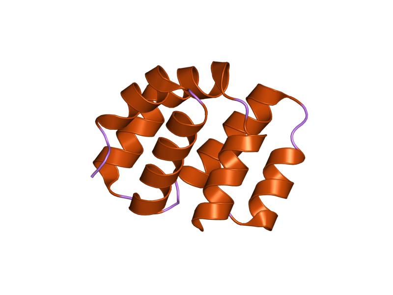 File:PDB 2ygs EBI.jpg