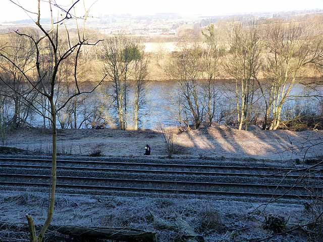 River Tyne from Spital Lane - geograph.org.uk - 2250963