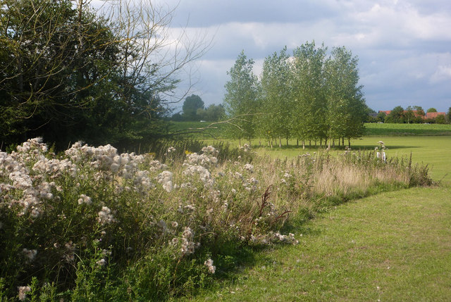 Rural scene near Needham Market - geograph.org.uk - 1440940