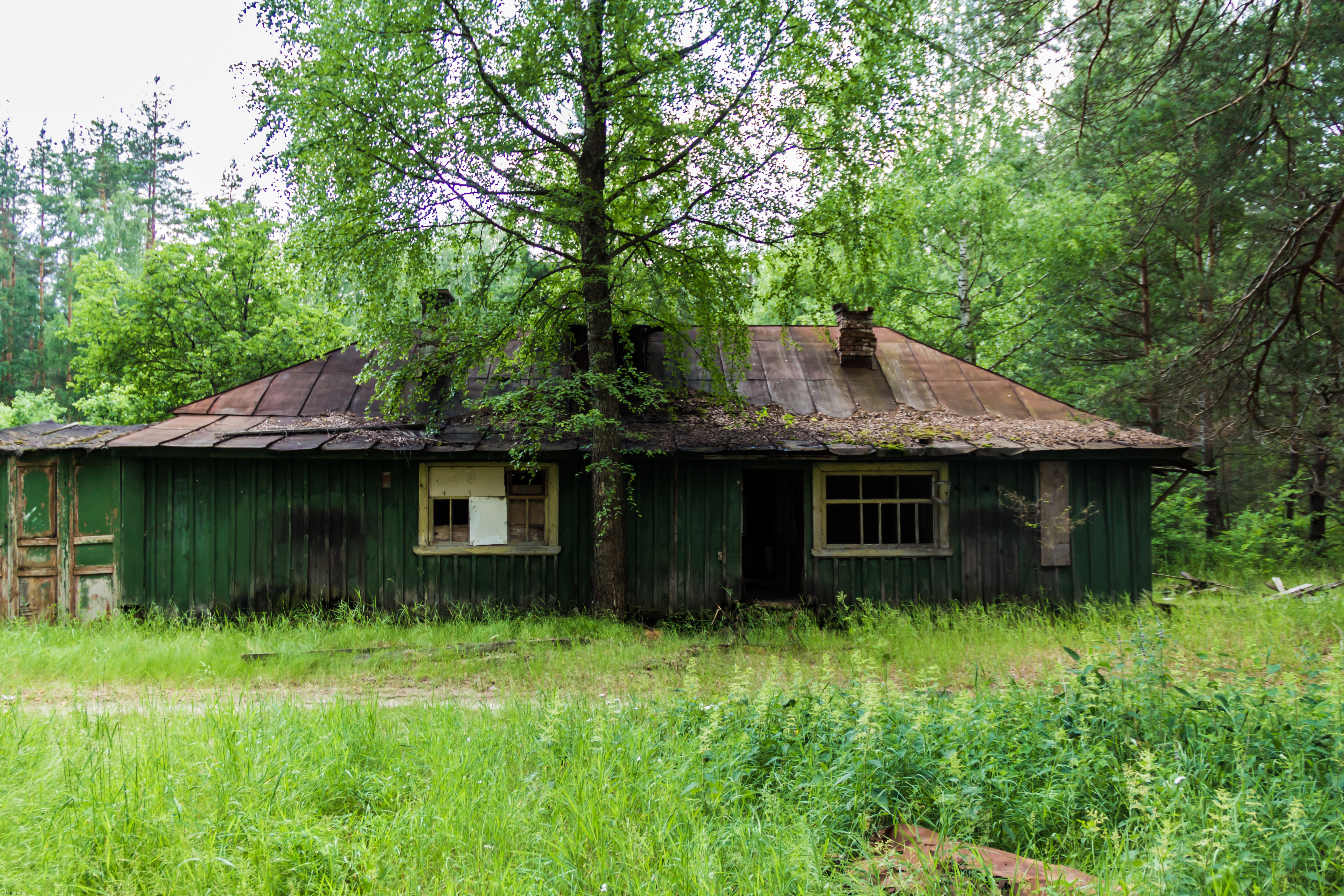 Поселок северный рязанская область фото