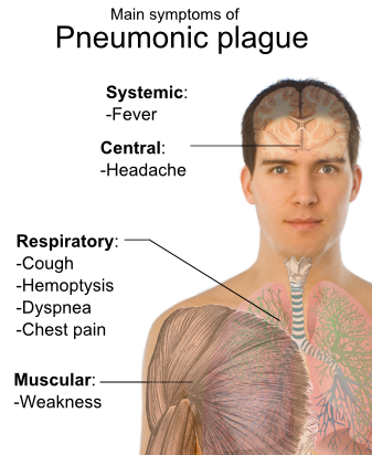 File:Symptoms of pneumonic plague.png