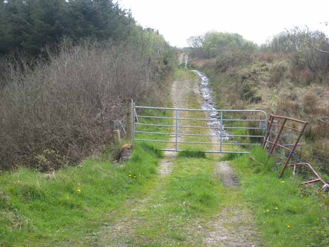 File:Track alongside forest in the Curlew Mountains - geograph.org.uk - 798254.jpg