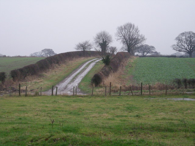 File:Track to the battlefield - geograph.org.uk - 655553.jpg