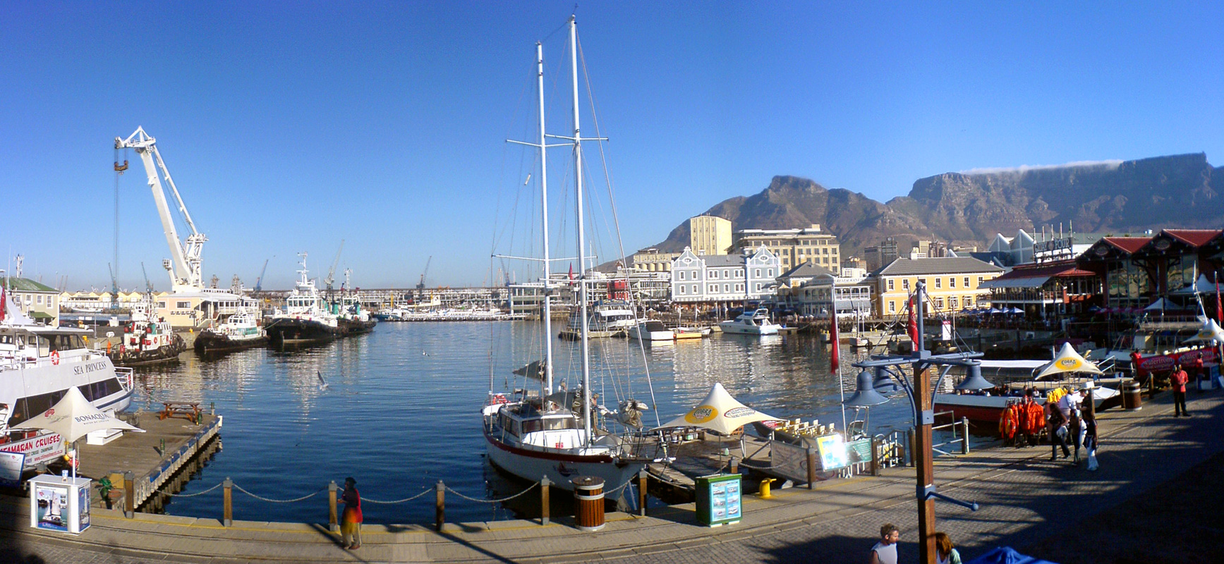 Bickley Terraces at Cape Town 3