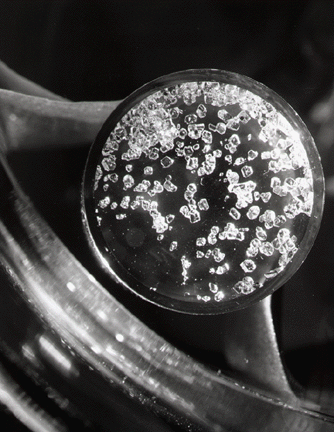 XeF 4 crystals. 1962.