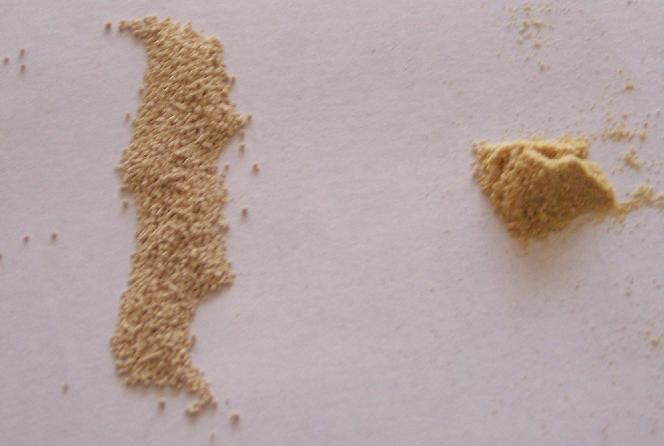 File:Yeast and nutrients.JPG