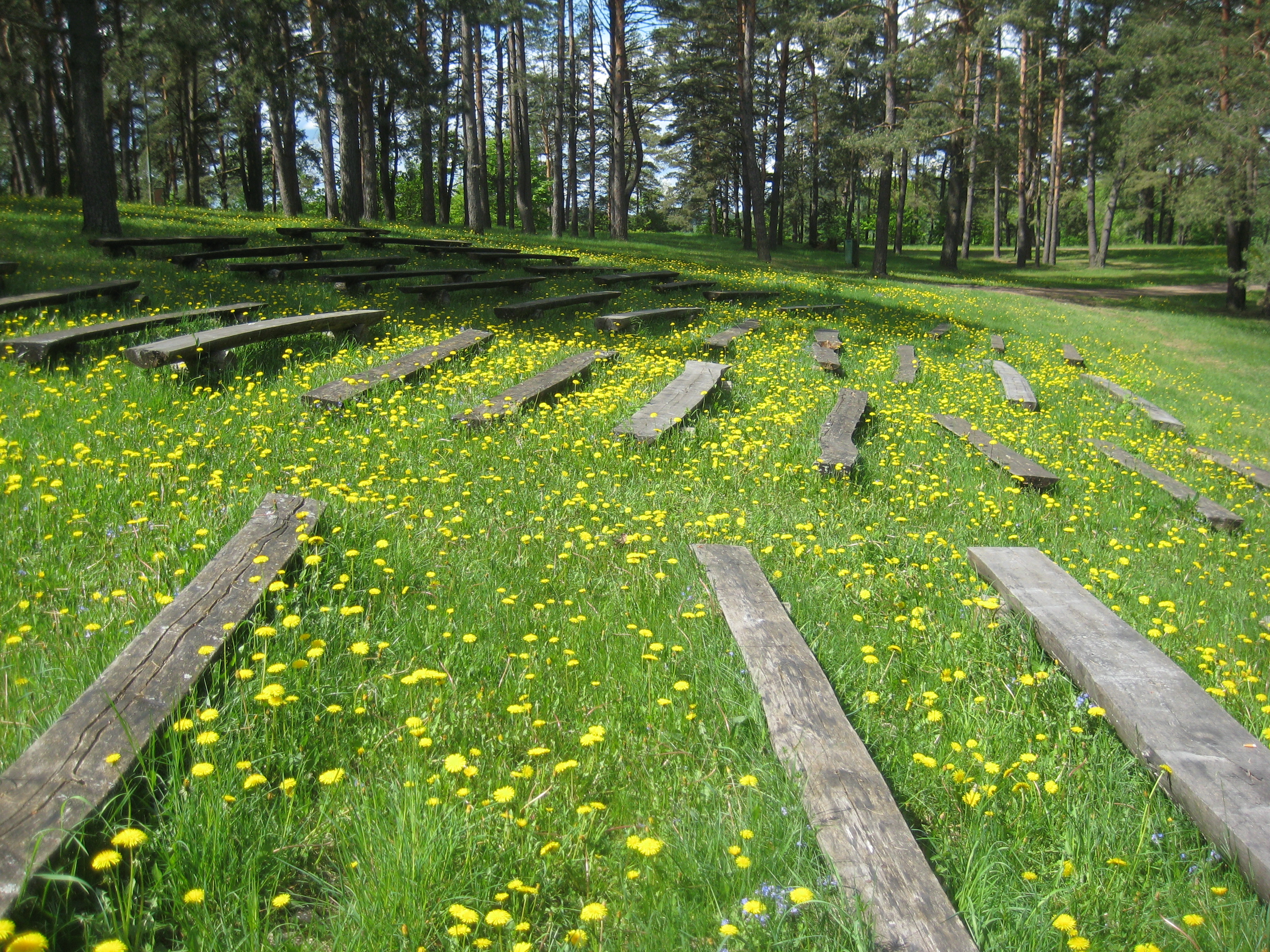 зарасай литва