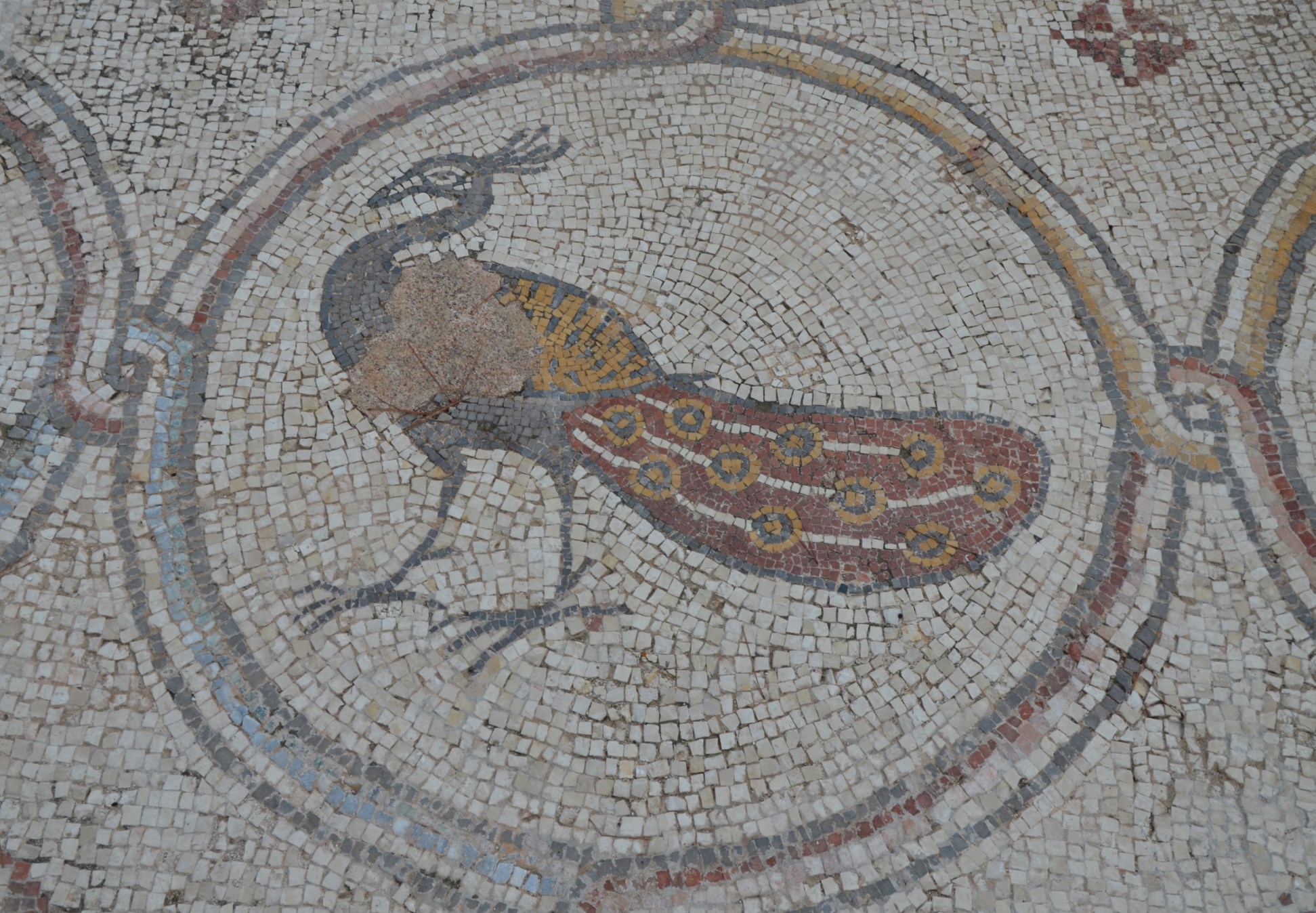 byzantine mosaics peacock