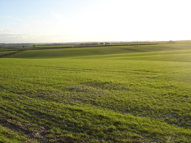 File:Across Pimperne Down - geograph.org.uk - 312897.jpg