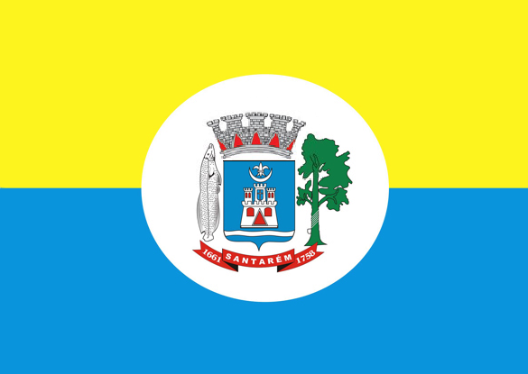 File:Bandeira Santarem.png