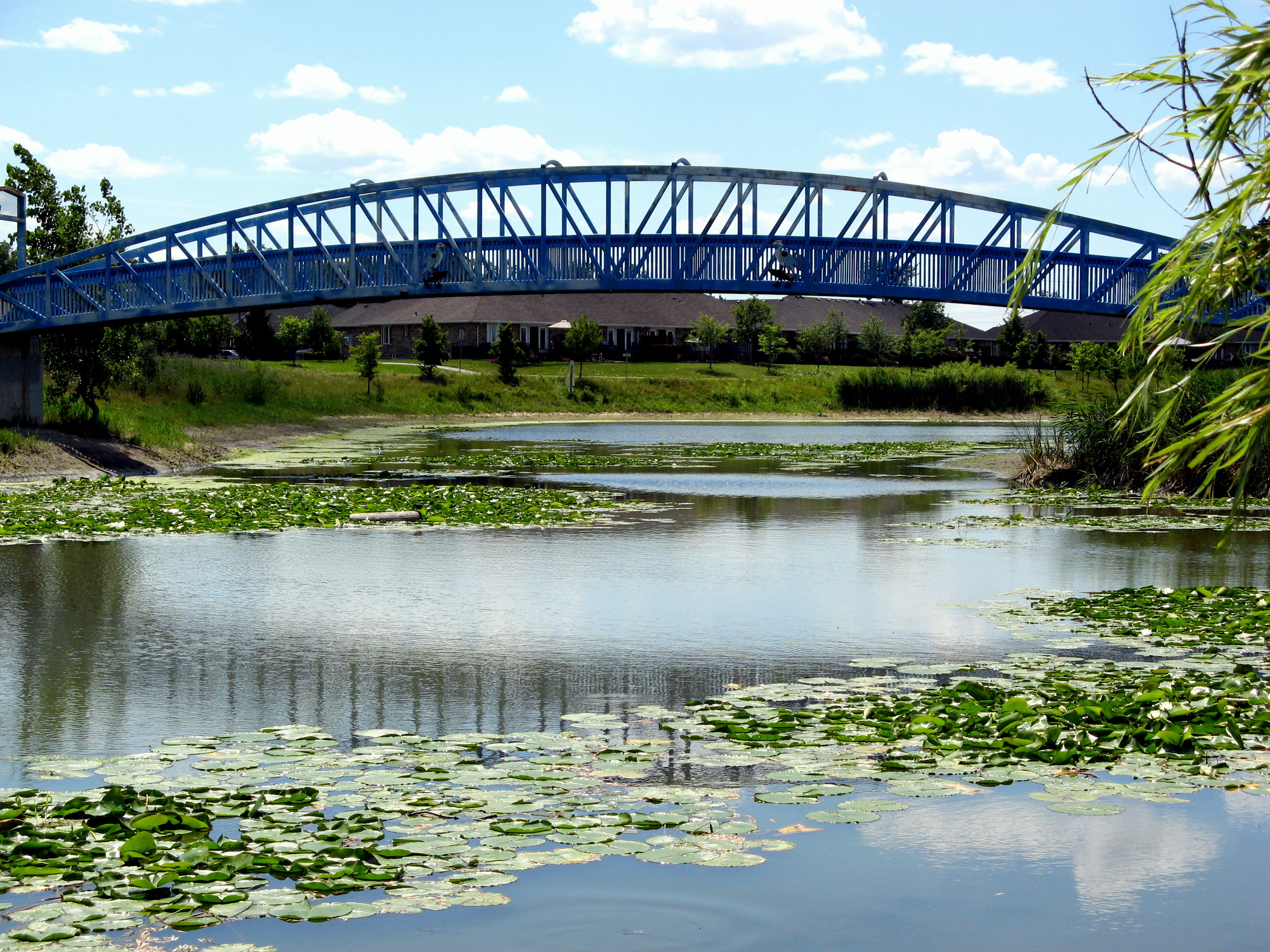 Blue Heron Bridge