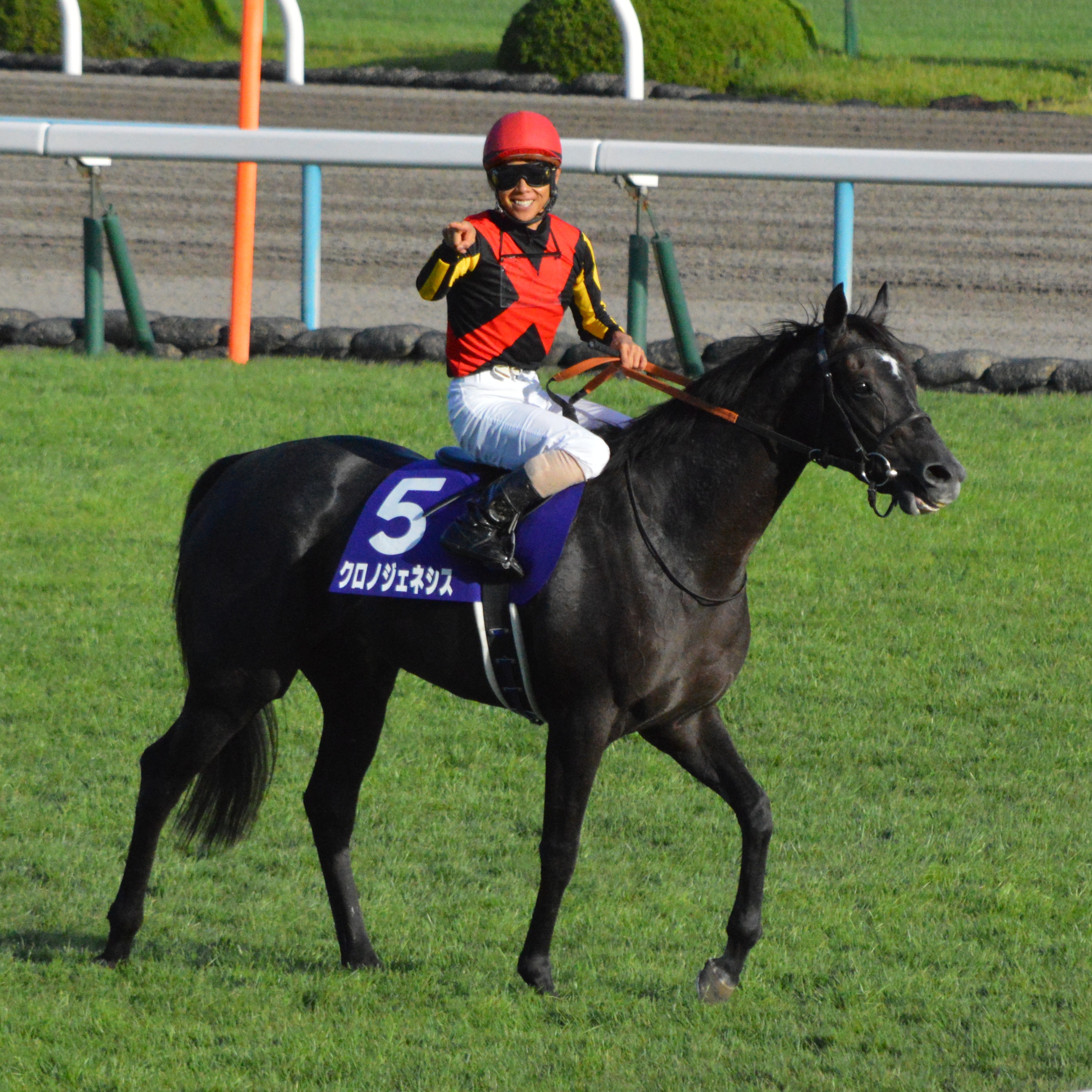 非売品』競馬 クロノジェネシス 2019秋華賞 記念 ブルゾン - ブルゾン