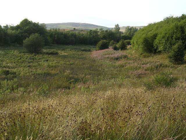 File:Cleddans Burn - geograph.org.uk - 48103.jpg