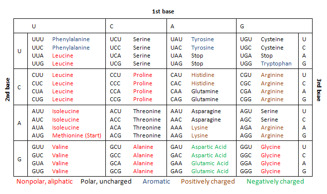 Codontable1
