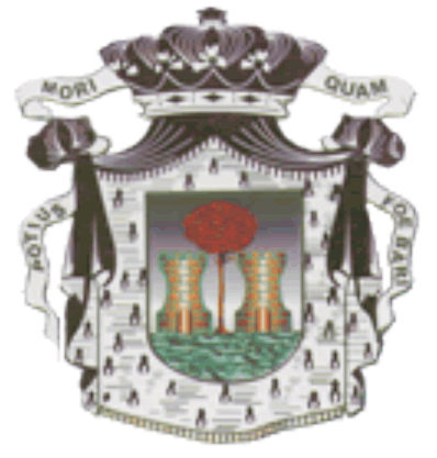 File:Escudo Floridablanca.jpg