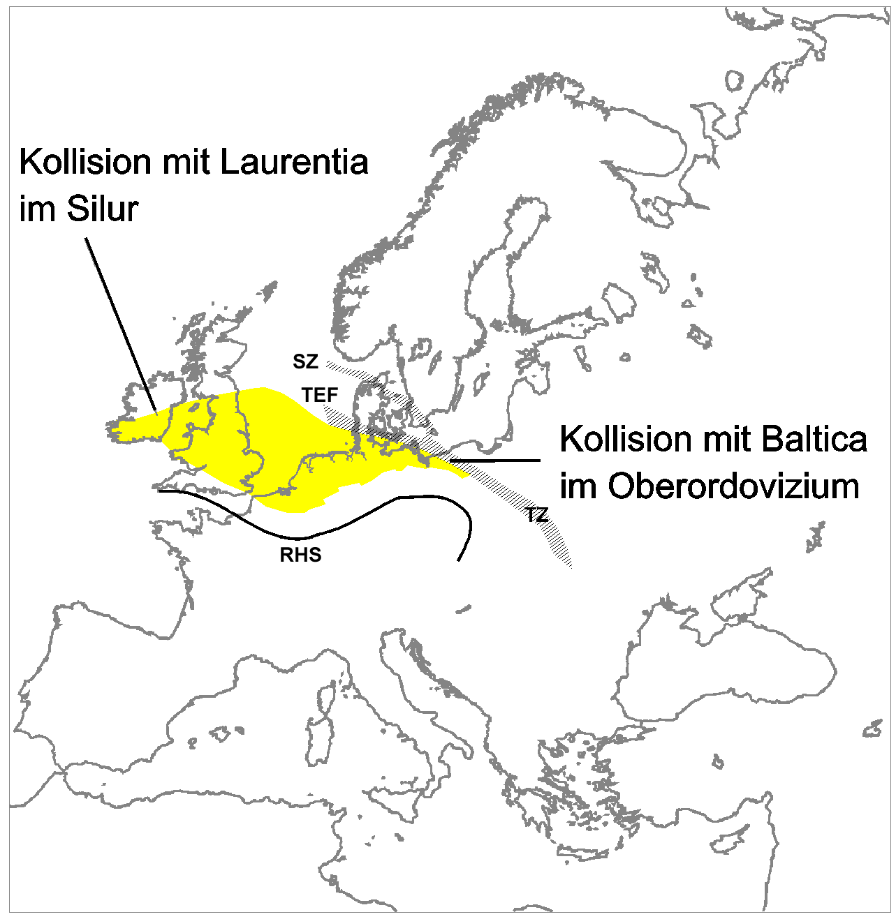 zsírvesztés a tren ászon