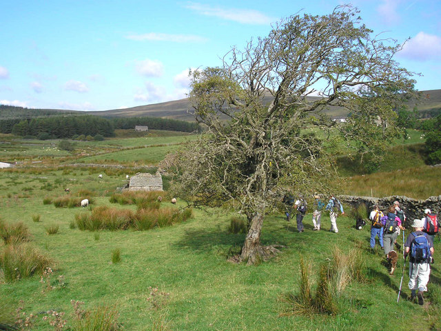 Grisedale - geograph.org.uk - 554191