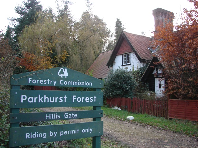 Parkhurst forest
