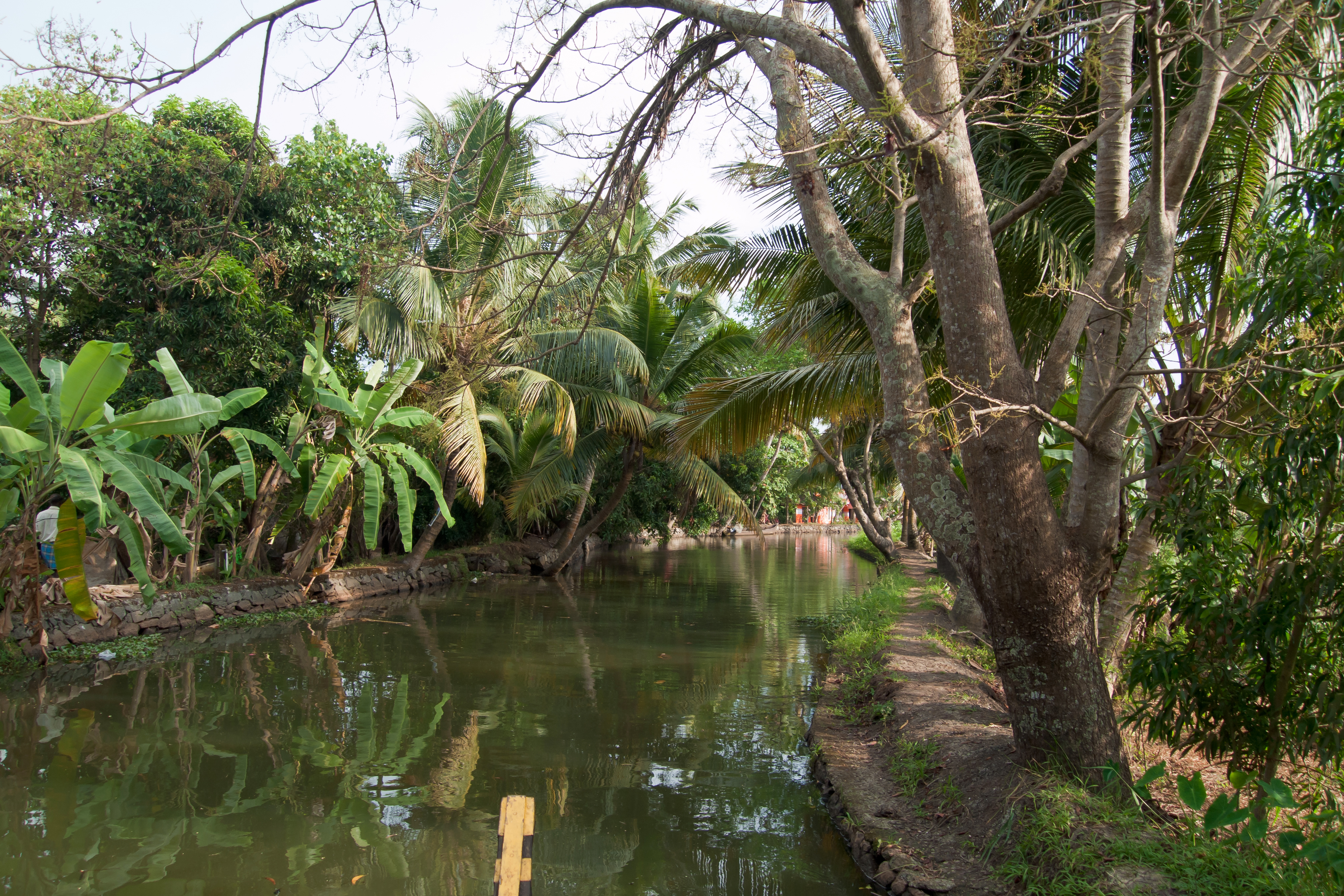 The good, bad and ugly sides to cruising the backwaters of Kerala, southern India | South China Morning Post