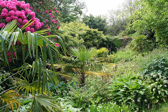 File:Kingswear, garden at Coleton Fishacre 2 - geograph.org.uk - 805979.jpg