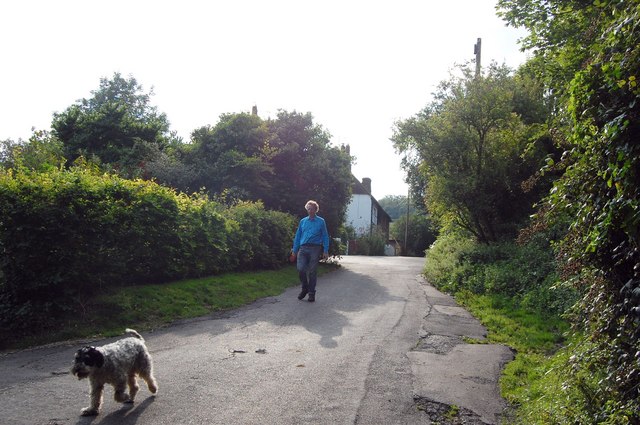 File:Lane in Shoreham - geograph.org.uk - 1437072.jpg