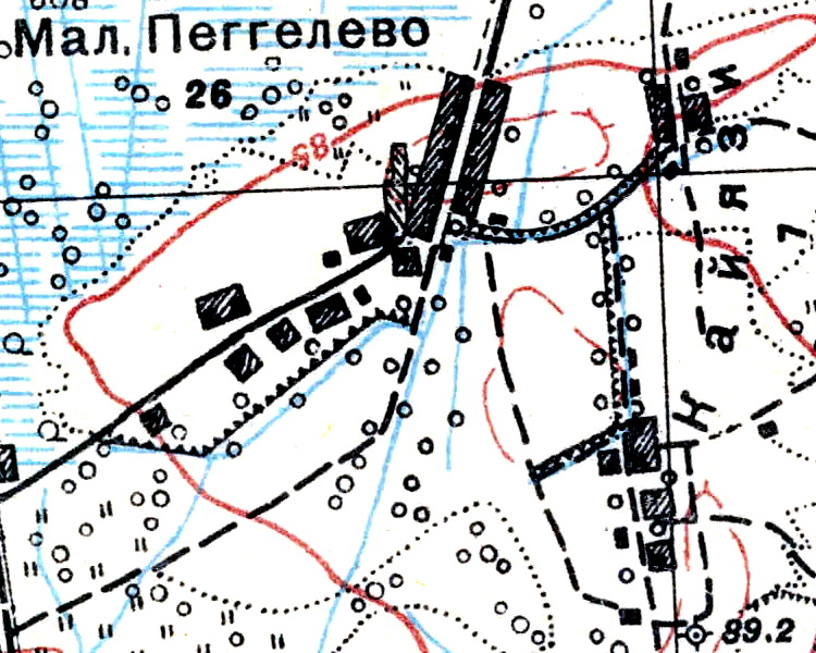 План деревни Малое Пегелево