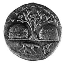 A Phoenician coin depicting the legend of the dog biting the sea snail