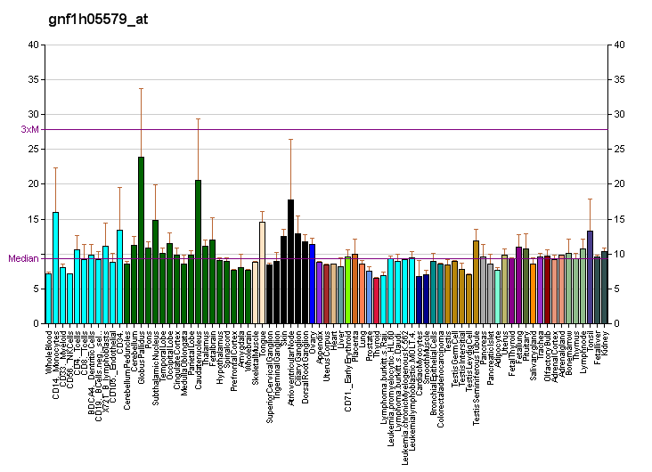 File:PBB GE RALY gnf1h05579 at fs.png