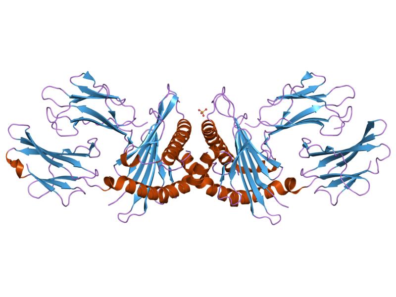 File:PDB 1ktl EBI.jpg