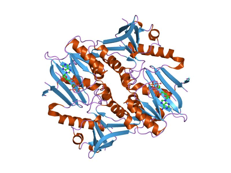 File:PDB 1px2 EBI.jpg