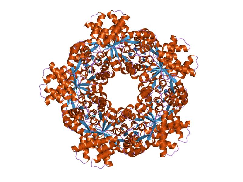 File:PDB 1wx0 EBI.jpg