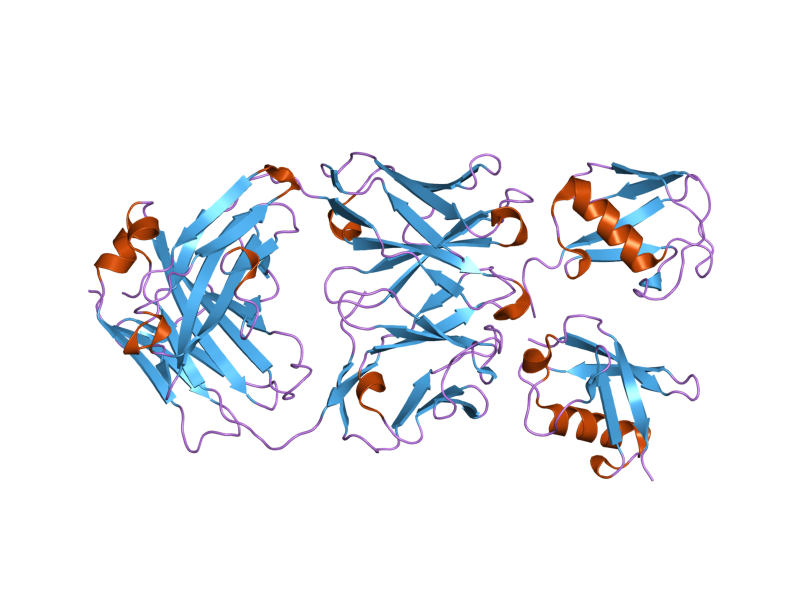 File:PDB 3dvg EBI.png