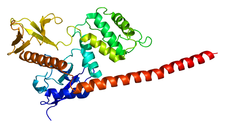 File:Protein MSN PDB 1e5w.png